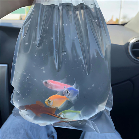 炎日夏季必备蓝色系背景图解闷 闲话一直有不听自然无