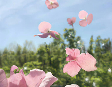 人心凉了的伤感说说 突然间很心疼自己说说 人心凉了的伤感说说 突然间很心疼自己说说