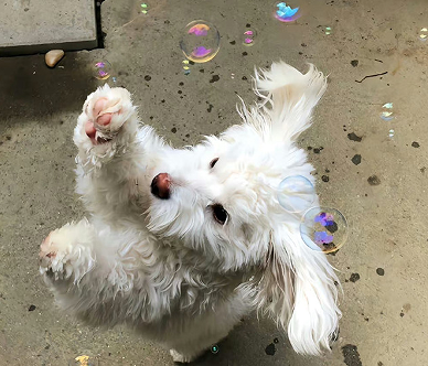 2023年最火微信昵称 2023年最旺的网名