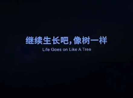 容易吸引人的微信网名 稳重又很气质的网名