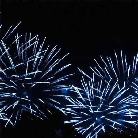 抖音超火的背景图片最新款绝美 黑暗中也别枯萎我的向日葵