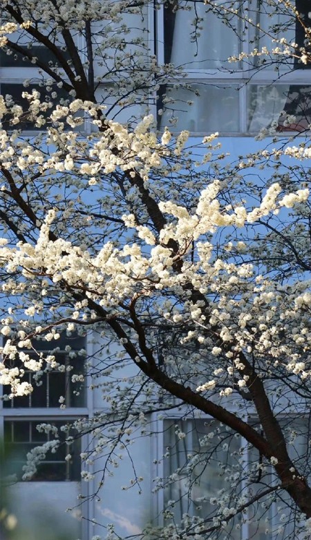 好看到爆的ins风格壁纸 无水印的绝绝子壁纸