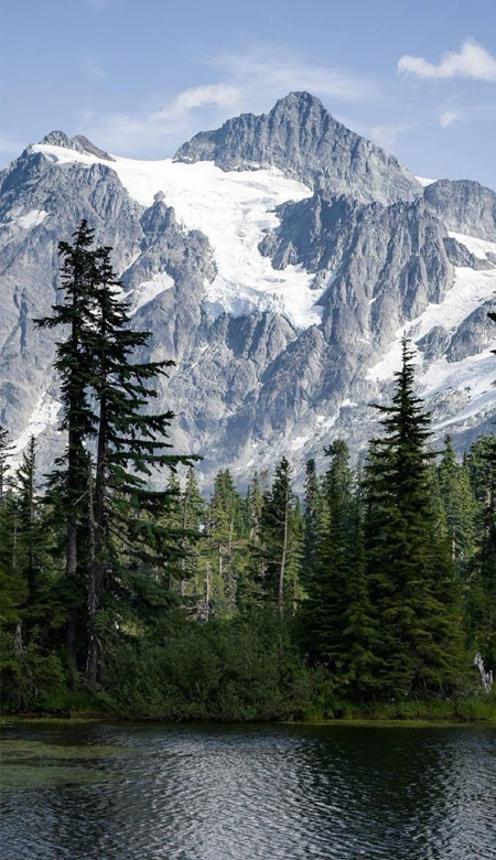 全屏壁纸少女心个性 美到你心坎上的皮肤合集