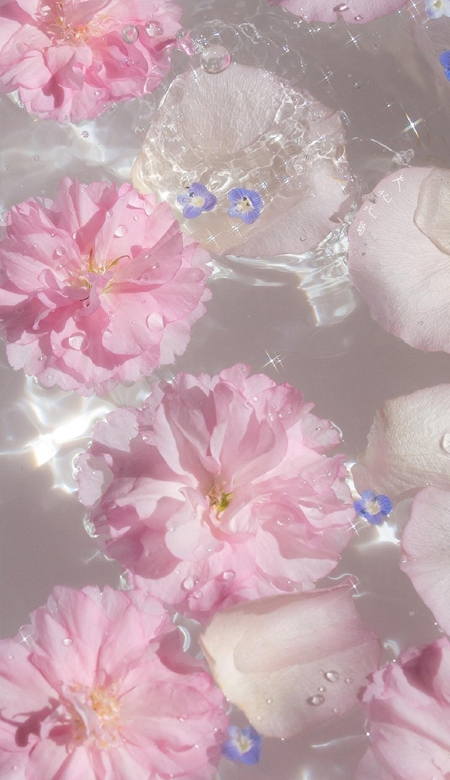 全屏壁纸少女心个性 美到你心坎上的皮肤合集