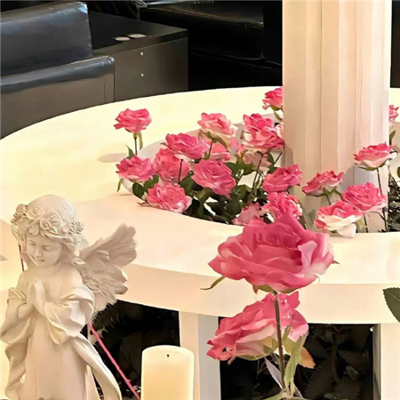 很特别的又很气质的图片最热门 超有品位的高质量素材合集