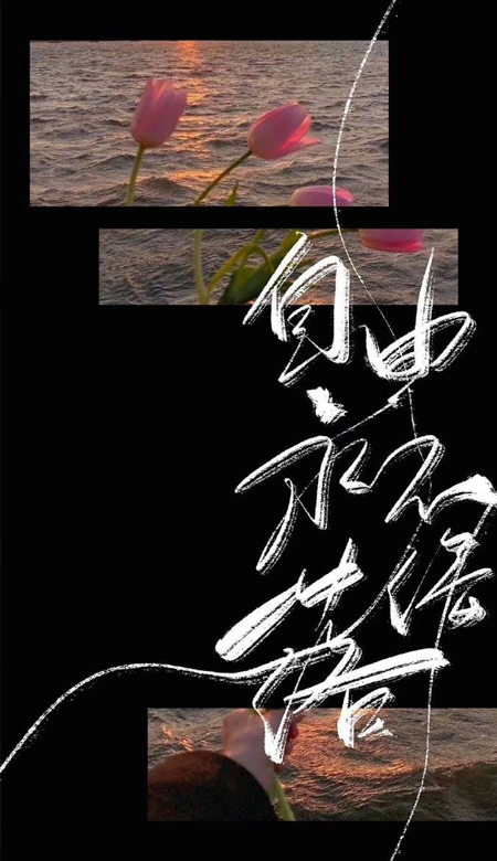 超绝的壁纸美到心坎上 让你爱不释手的壁纸