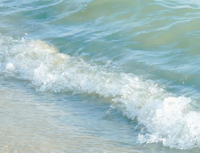 离别后各自珍重的文案 朋友告别珍重的文案