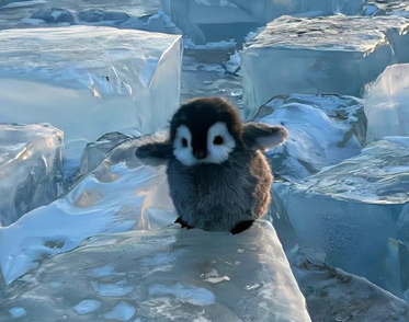 男朋友不成熟相处很累的说说 讨厌不成熟男生的句子 男朋友不成熟相处很累的说说 讨厌不成熟男生的句子