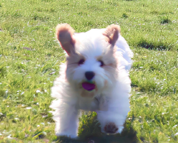 搞怪型旅行发的朋友圈文案 很吸睛的旅游说说 搞怪型旅行发的朋友圈文案 很吸睛的旅游说说