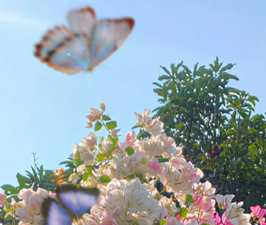 搞怪型旅行发的朋友圈文案 很吸睛的旅游说说 搞怪型旅行发的朋友圈文案 很吸睛的旅游说说