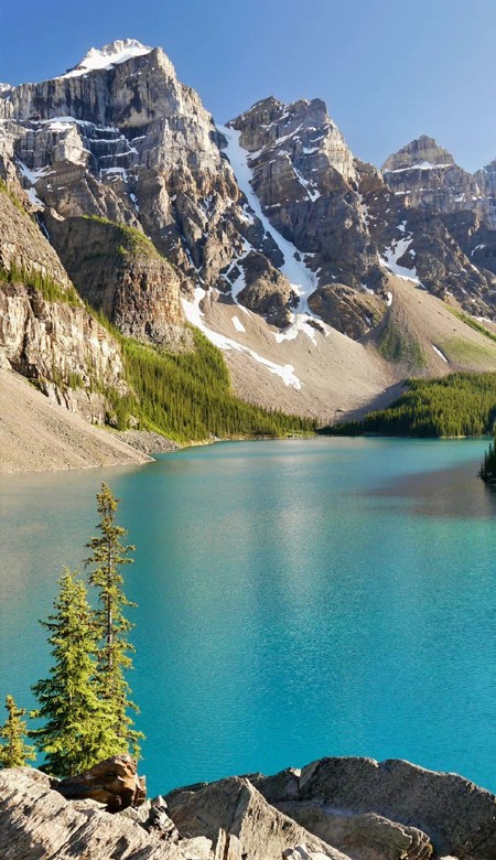 很吸引人眼球的iphone壁纸 你是盛开着漫山遍野的温柔