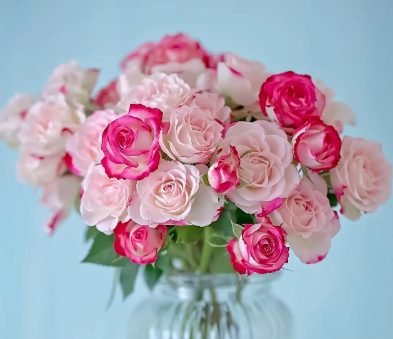 给生病送花的祝福贺卡文案 病人鲜花卡片祝福语 给生病送花的祝福贺卡文案 病人鲜花卡片祝福语