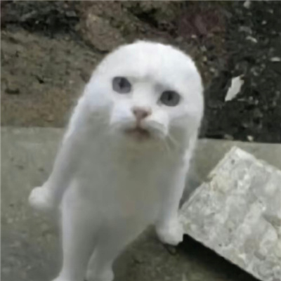 稀奇古怪搞笑无字表情快乐合集 2023无水印的好用无字表情合集