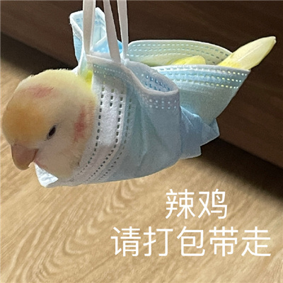 一组鸟鸟实用又搞笑的表情大全 我又不脆弱何况这算什么伤