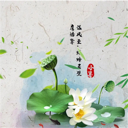 2023小暑节气朋友圈配图高清唯美 蝉鸣夏日长美好正韶华