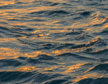 人走茶凉的心情说说 人走茶凉的感慨说说