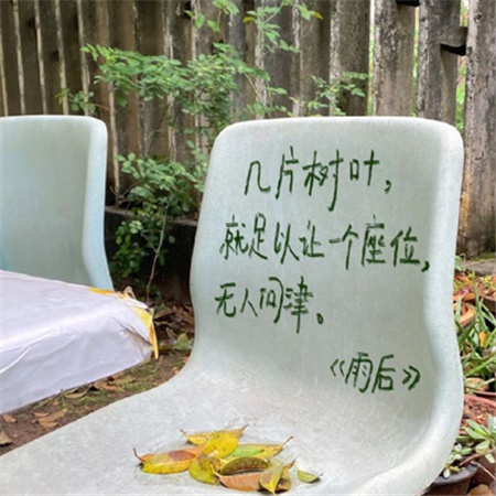 很戳又很治愈的街边诗歌图片 花瓣是风吻别春天的痕迹