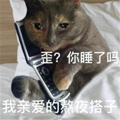 实用的各种搭子表情 你来评评理呀我亲爱的吐槽搭子