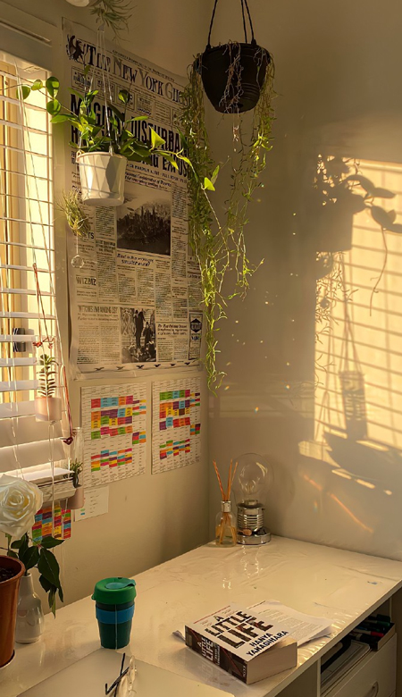 每张都想去保存的壁纸 超干净的壁纸高清