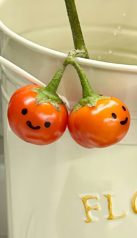 爆火很舒心的高清壁纸合集 非常可的高级皮肤