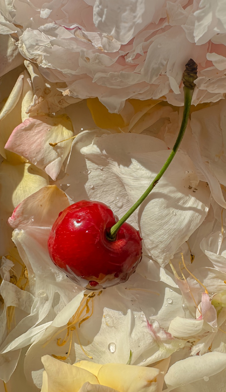 给人一种阳光的超美壁纸 很养眼的超舒心的壁纸合集