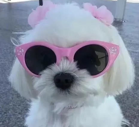 小众签名超级好听冷门显气质 简短仙气的签名大全 小众签名超级好听冷门显气质 简短仙气的签名大全