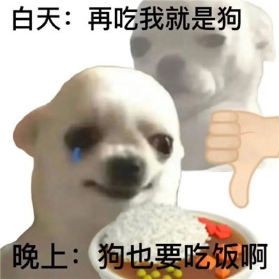 我的减肥生涯表情 减肥经历好用的表情