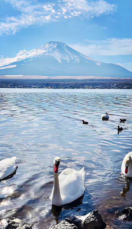 女士手机专用高雅壁纸 史上最漂亮的绝美皮肤