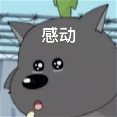 用来聊天超快乐的表情最新 给你修修脑子表情包