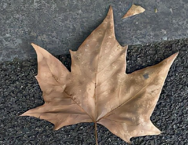 一手好牌打得稀烂的说说 一手好牌被自己打烂了说说