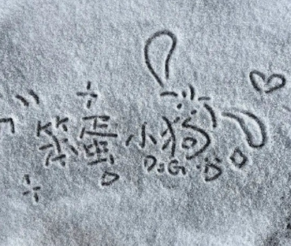 想发就发的日常简约杂系文案 今日份生活碎片短句 想发就发的日常简约杂系文案 今日份生活碎片短句