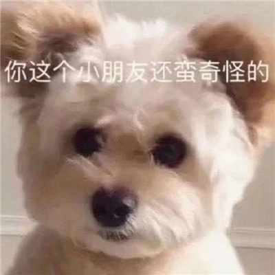 很想笑的有病表情 帮你舔走不开心