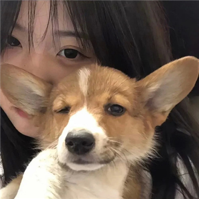 不容错过的情头很宝藏 很小众的情头合集