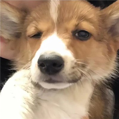 不容错过的情头很宝藏 很小众的情头合集