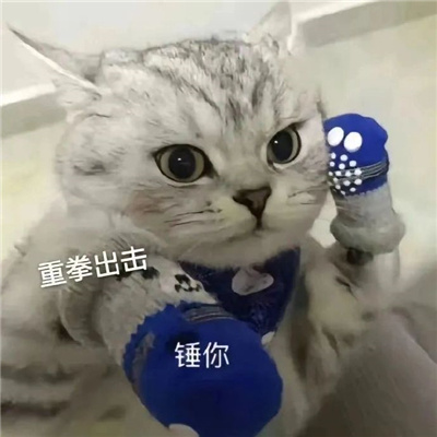 聊天必备可爱感表情合集 重拳出击捶你