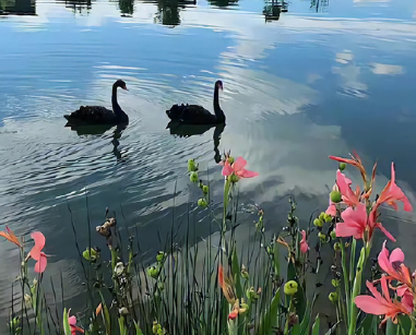 分手又复合的珍惜文案 兜兜转转的重逢的文案 分手又复合的珍惜文案 兜兜转转的重逢的文案