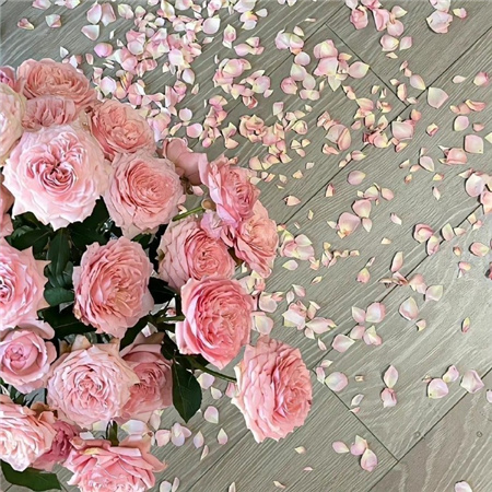 2023一眼就吸引人的图片创意 会喜欢很久会沦陷的配图最新合集