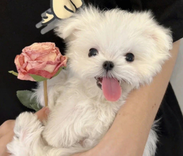 让陌生人觉得很暖的句子 让人感慨让人暖心的句子