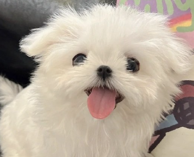 陪伴孩子的幸福时光的句子 陪伴孩子的文案