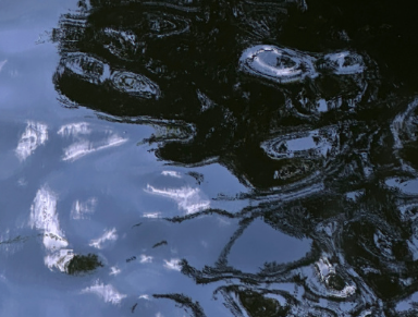 及时行乐的朋友圈短句 及时行乐的说说