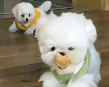 容易让人评论的文案 评论区杀疯了的文案 容易让人评论的文案 评论区杀疯了的文案