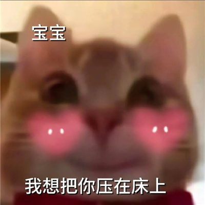 超爱用的很有趣味的表情 很内涵的一串表情合集