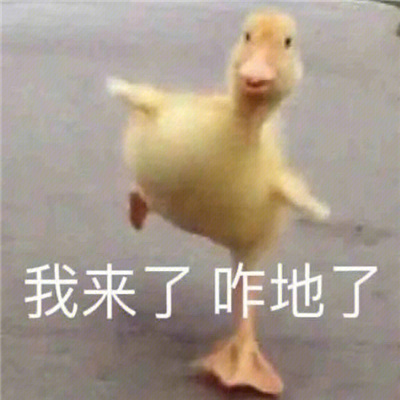 宝藏万能表情很火热 很搞怪的优质版表情