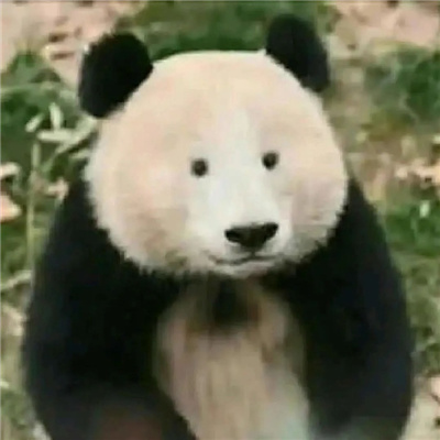 国宝大熊猫微信恶搞表情包 又去上你那个不挣钱的班啊