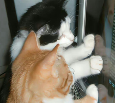 空欢喜一场的朋友圈说说 白高兴一场的经典句子