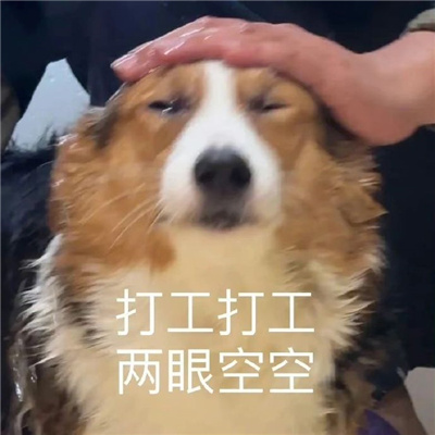 会带来很多开心的趣味表情包 拿着去做你该做的事