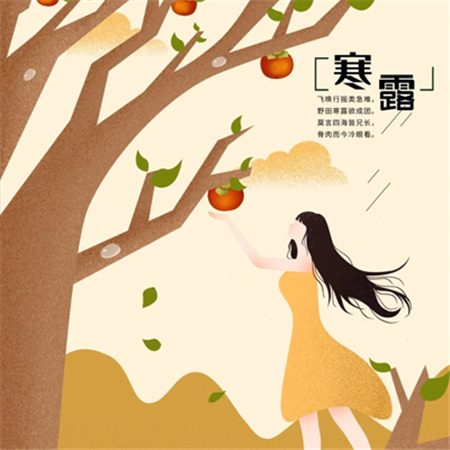 2023寒露节气唯美配图高清 露水几成霜有甜心里暖