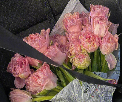 2024发朋友圈很吸引人闪闪发光宝藏文案 高质量句句唯美的短句