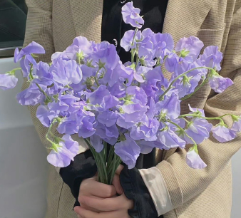 旺自己的文案短句 给自己加油打气的文案