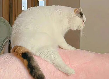 致自己的内涵签名让人喜欢 一见倾心的内涵签名大全 致自己的内涵签名让人喜欢 一见倾心的内涵签名大全